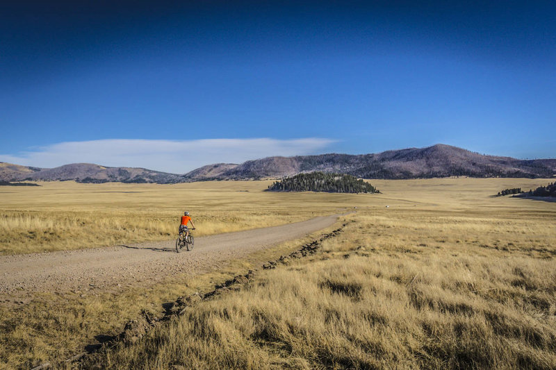 Valles Caldera has wide open spaces - watch for elk