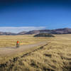 Valles Caldera has wide open spaces - watch for elk