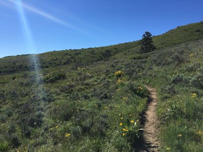 Just below the Tunnel of Love (AKA a brush pass-through).