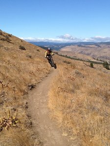 Rolling Pony Tail pastures coming down Chest Pains