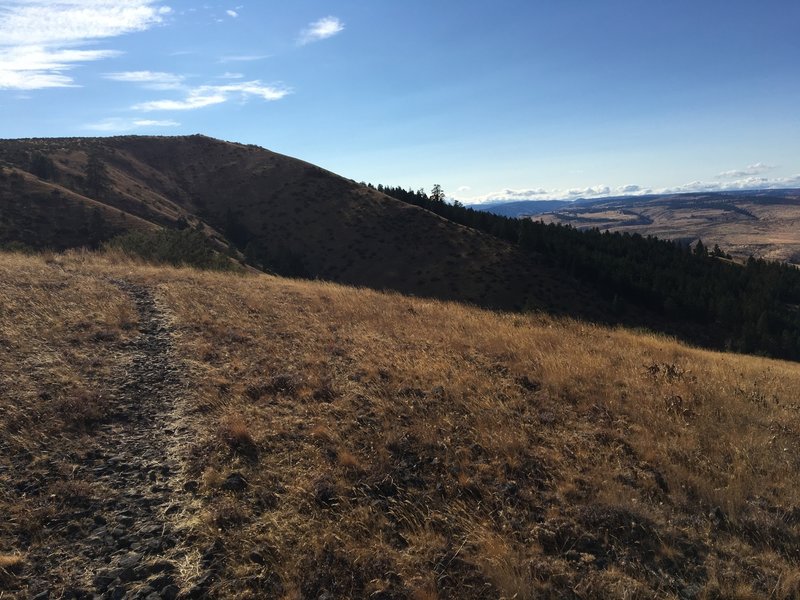 Rocky and rough!  Clifford connects Chest Pains to the Backside trails.