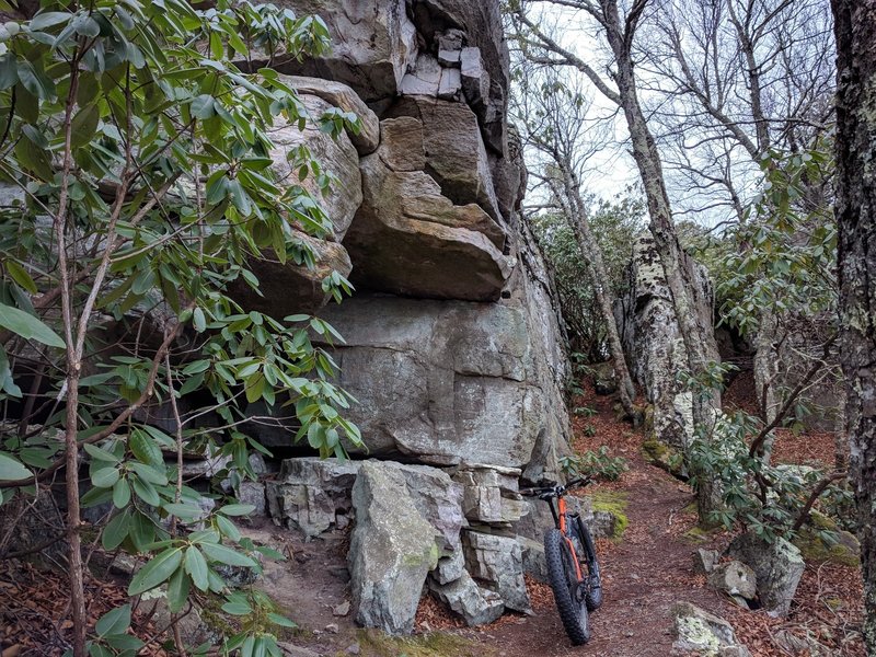 Follow the 'Wisps'. But be mindful...black bear make their home in these Virginia hills. Nearing the entrance to Pete's Cave and to the steps up through your hike-a-bike reservation. Beware the use of super wide bars. :)