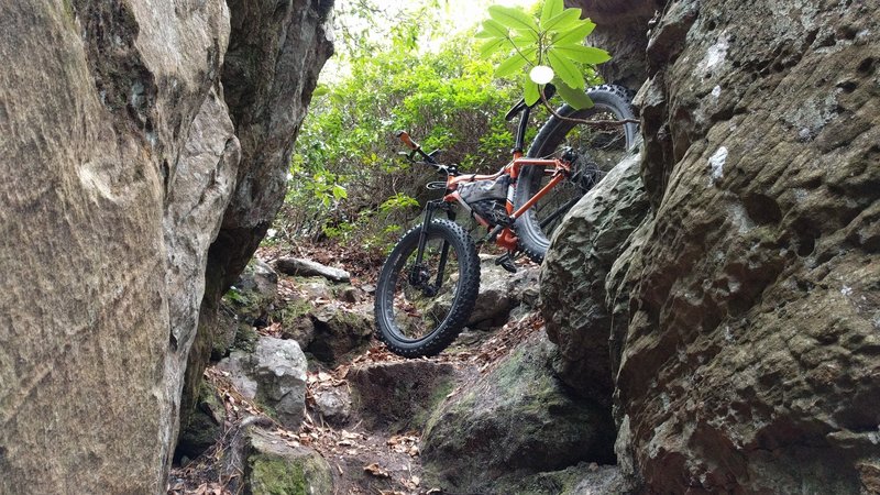 Shedding grams off your bike wasn't important...before you find Pete's Cave. This isn't your mother's hike-a-bike...it's a real bear!