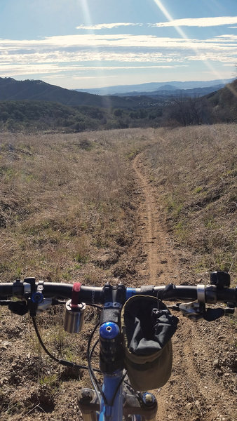 Wildwood singletrack