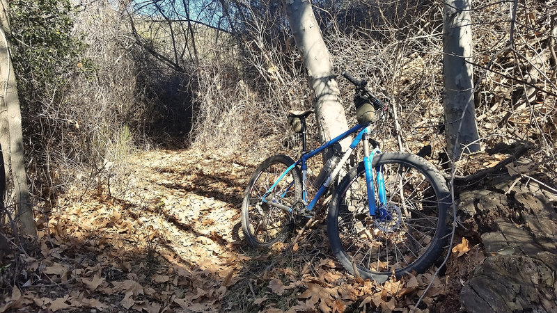 Autumn trails