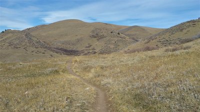 How good it can be when you work to keep singletrack, single (looking North on Rooney Valley trail toward the top of Green Mountain).