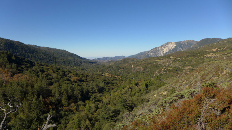 Looking down valley from Santa Ana River Trail