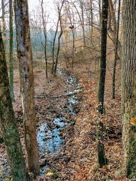 A gem of a view that is hidden until the leaves begin to fall