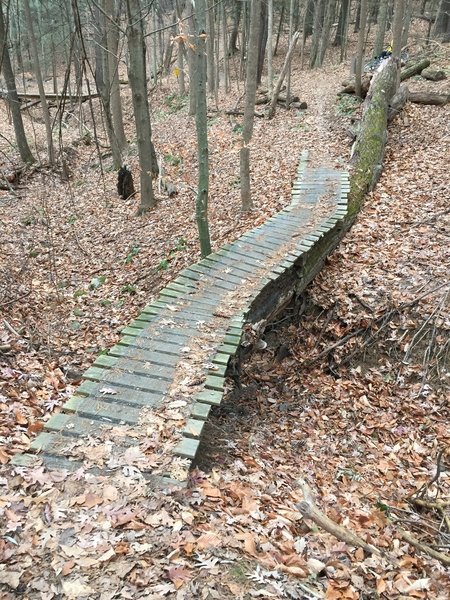 1 of many bridges on Galloping Gert and this side of the park.  They all have expanded metal sheets on them for traction over Trex decking.