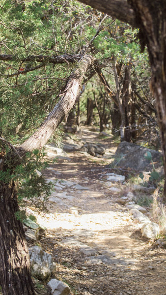 Colonels Row.  A fun, rocky section along the trail.