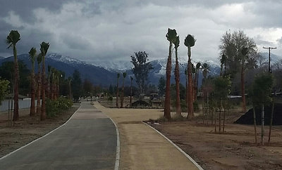 Redlands Orange Blossom Trail