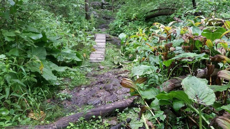 Muddy, rocky, and technical, this section will test you!