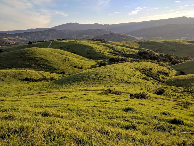 Santa Teresa County Park -- Coyote Peak