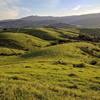 Santa Teresa County Park -- Coyote Peak