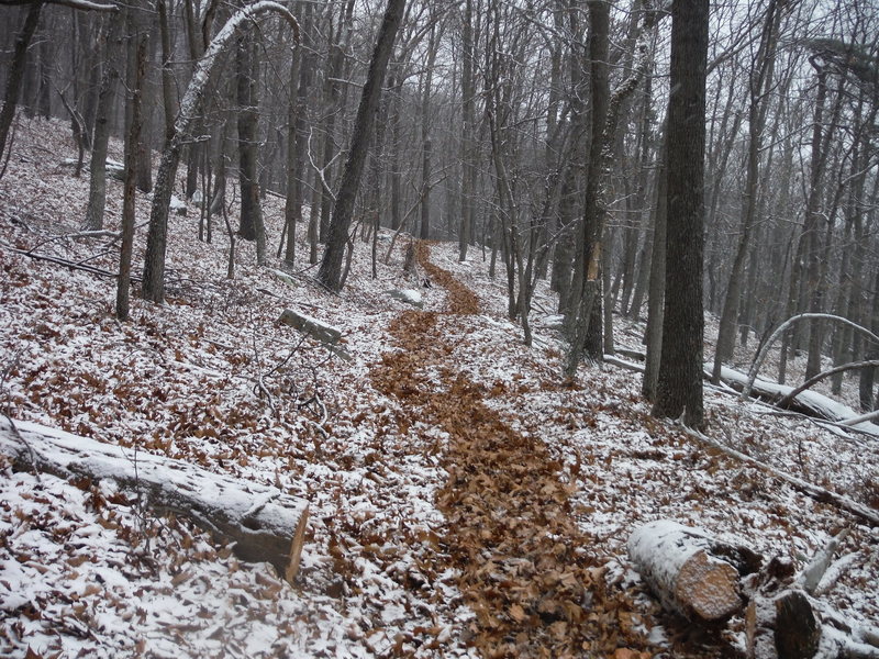 Coming down Giddy-Up, one of the few flat-ish sections in the middle