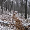 Coming down Giddy-Up, one of the few flat-ish sections in the middle