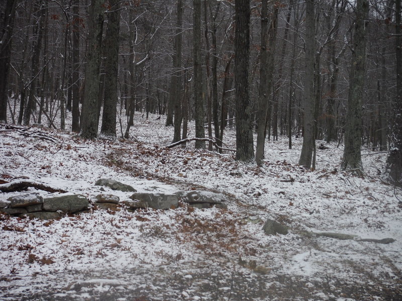 Train beginning / end in upper corner of Batt Picnic Area parking lot. Go in here and turn left uphill by fire pit