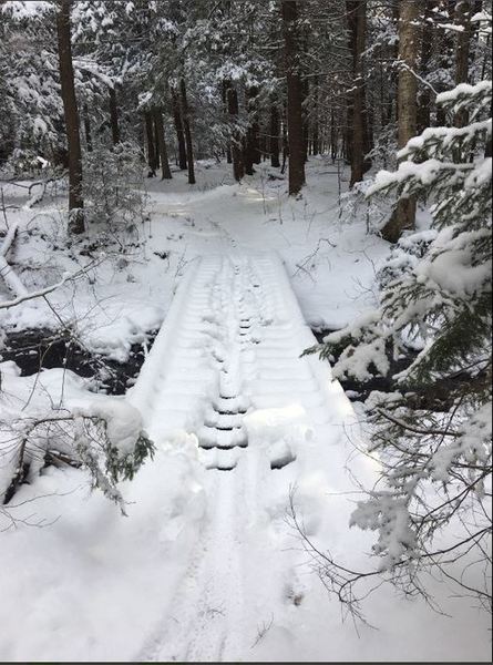 Out on the trail - the bridge to nowhere!