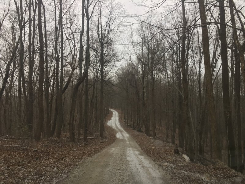 Snowy afternoon along Marbleyard Rd