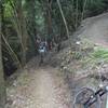 Heading into the native bush gully on Exodus