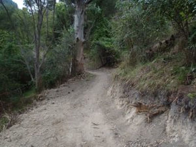 Escalator Trail