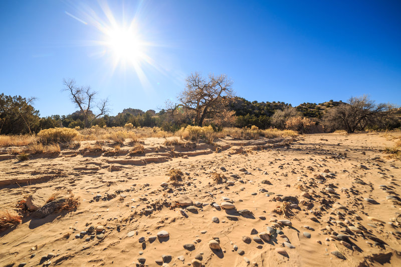 December 10, 2017 ~ the driest start to Winter in New Mexico since 2001 ~ rideable natural snow is nonexistent in the mountains, conditions are primo for mountain biking across the region. Lemitas Trail