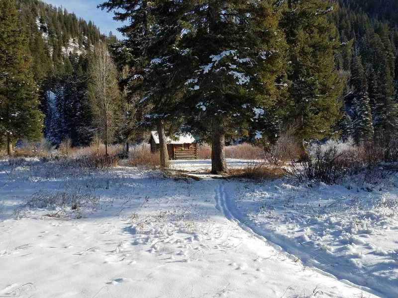 Survival Cabin at Chicken Springs Junction