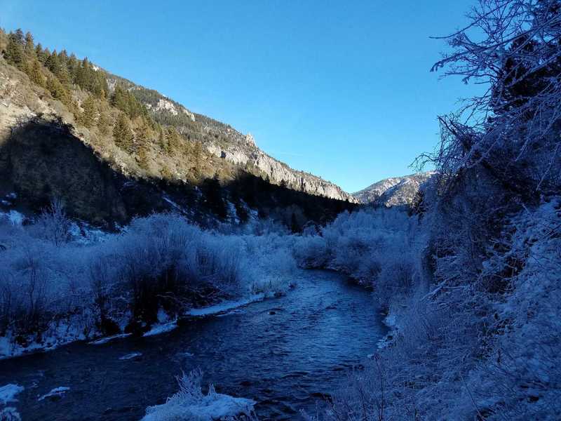 Looking up Lower Palisades Creek