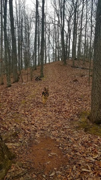 Long descent before switchbacks.