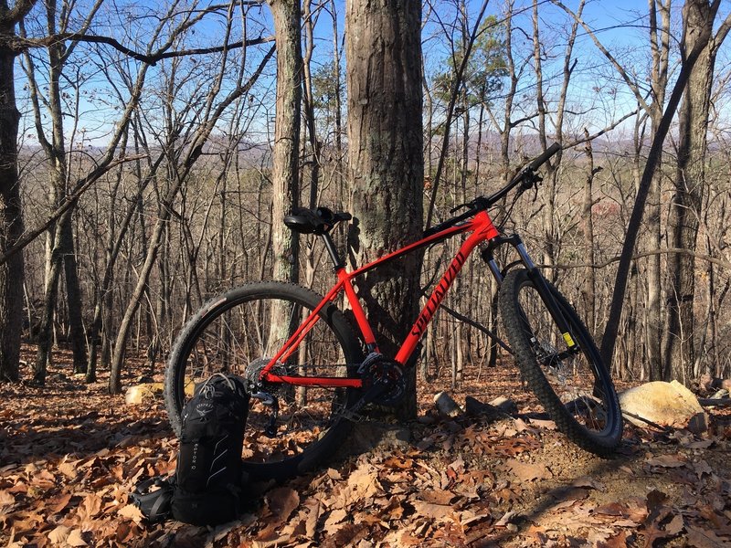 Getting the scenic shot from the trail.