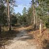 This is a typical section of trail. Some sections are sandy dirt while others are grass-covered.