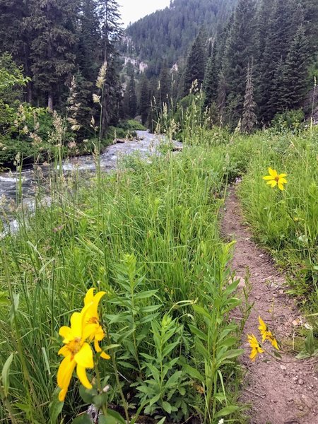 Typical terrain and scenery for the trail.