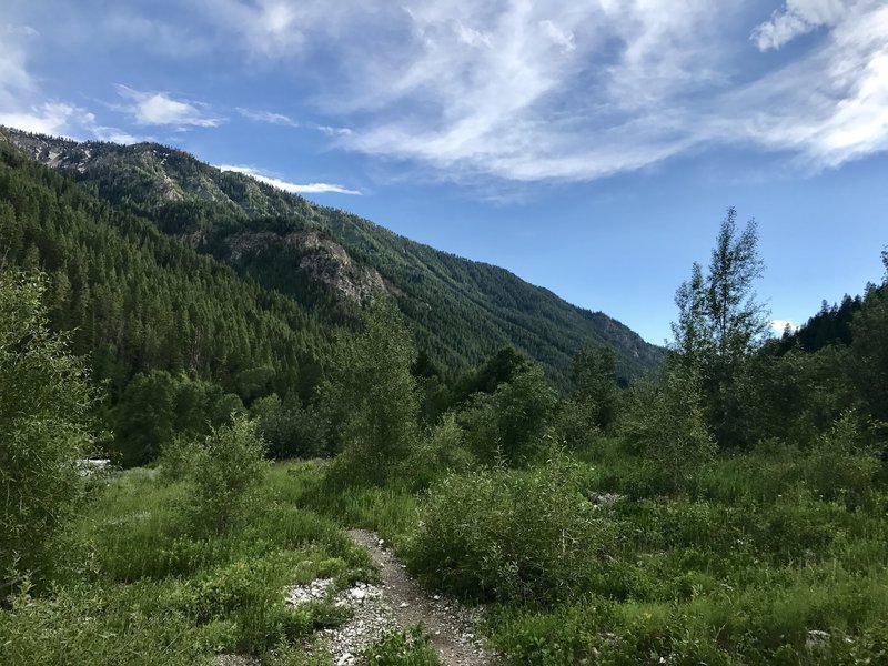 Looking back in the direction of the trailhead.