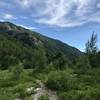 Looking back in the direction of the trailhead.