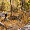 Nice trail in the middle section of the CDO