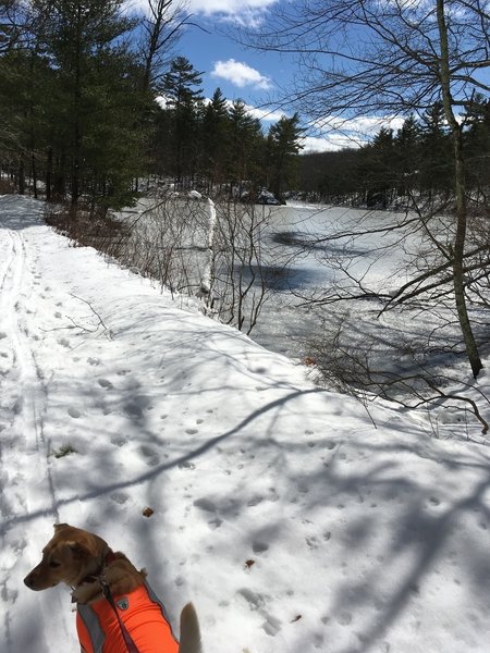 A frozen Salem Pond provides a pleasant sight