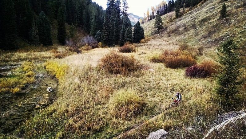 Riding along the North Fork of Bear Creek