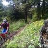 Climbing toward the  Four Corners pass on the South Fork of Fall Creek trail