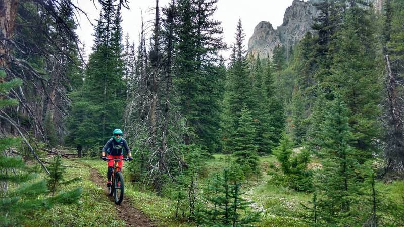 Savoring a very short bit of easy trail in South Fork Meadow Canyon