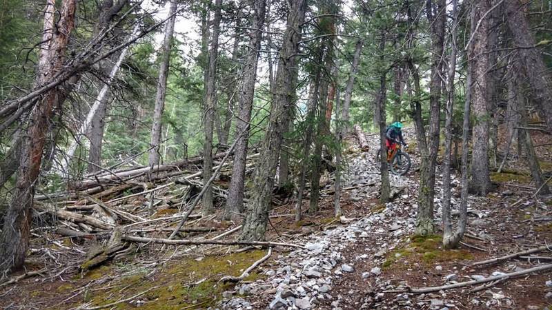 Rowdy and chunky in South Fork Meadow Canyon!