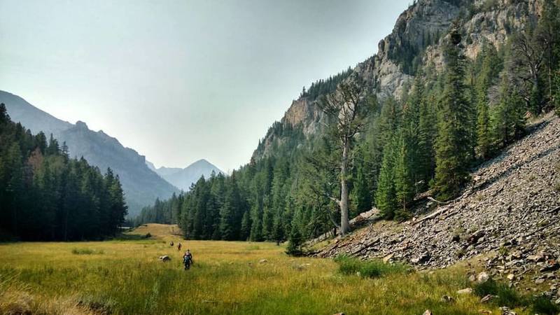 Meadow skipping in Rocky Canyon