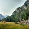 Meadow skipping in Rocky Canyon