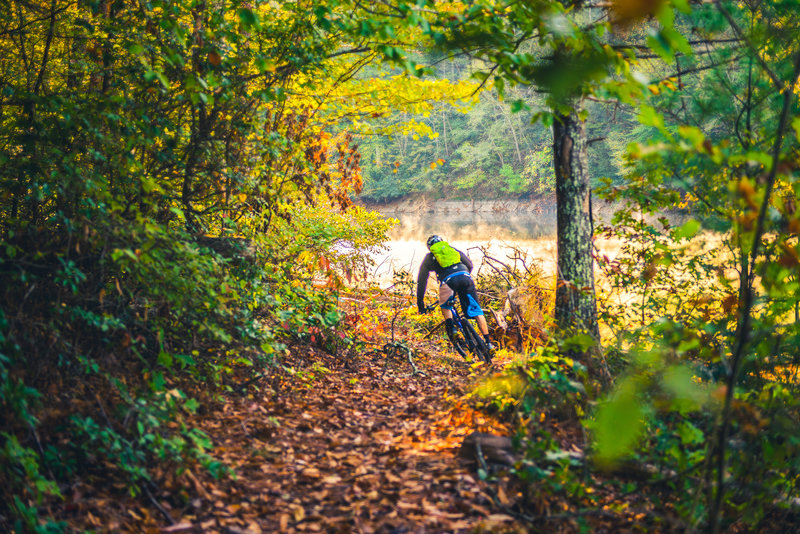 Flowing singletrack along the Golden Shores Trail has great views of Philpott Lake. Ride counter clockwise