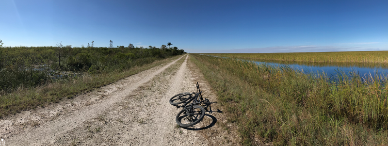 Heading west on the conservation greenway trail. Dead quiet! Gators lurking.