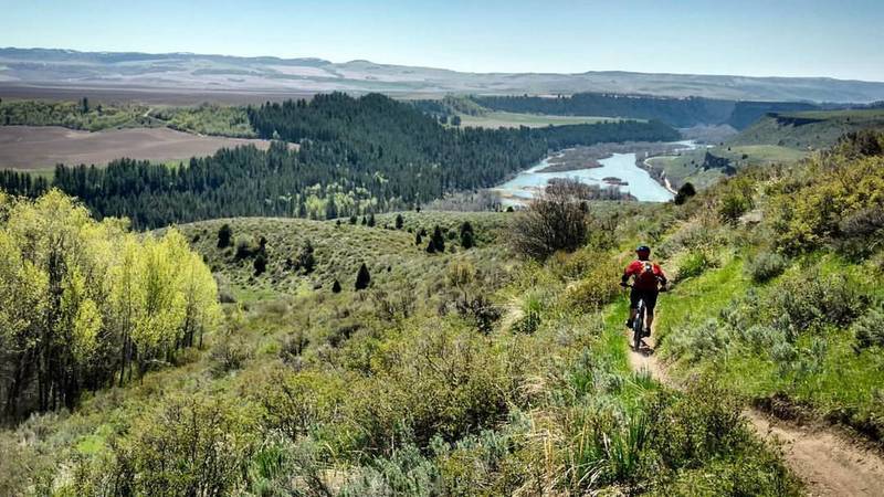 Old Ranger Trail above the South Fork of the Snake River