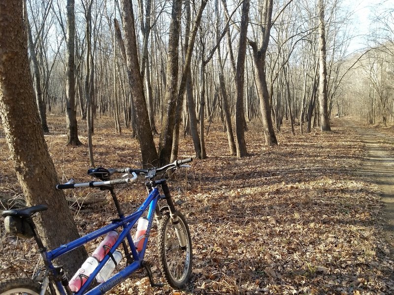 Combs Road is mostly flat and fast through a creepy looking woods.