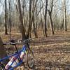 Combs Road is mostly flat and fast through a creepy looking woods.