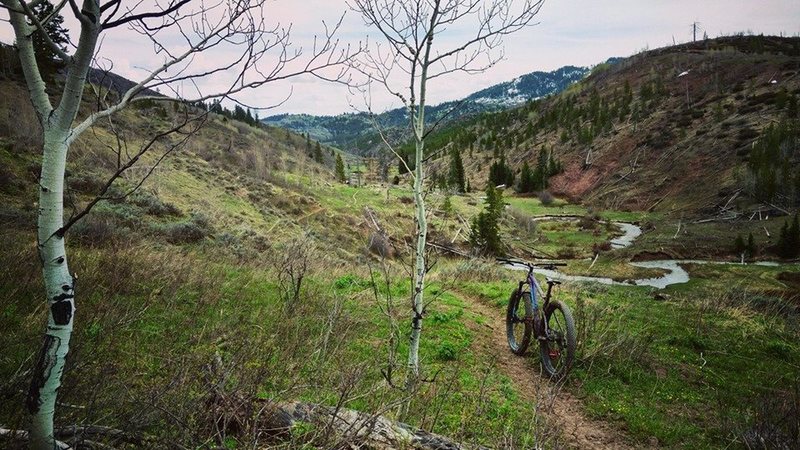 Springtime on the Trail Creek trail