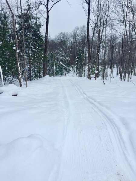 Pipeline Trail - returning to trailhead