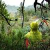 Looking down Jackknife Creek canyon while waiting for a springtime rain shower to pass over.